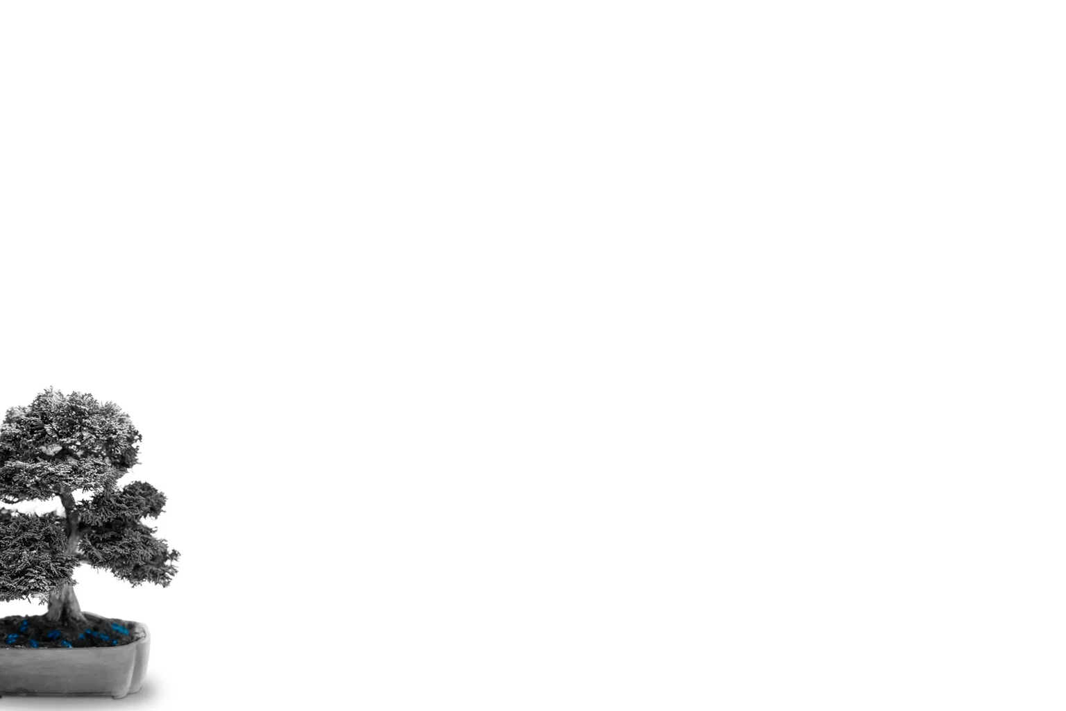 Investors background