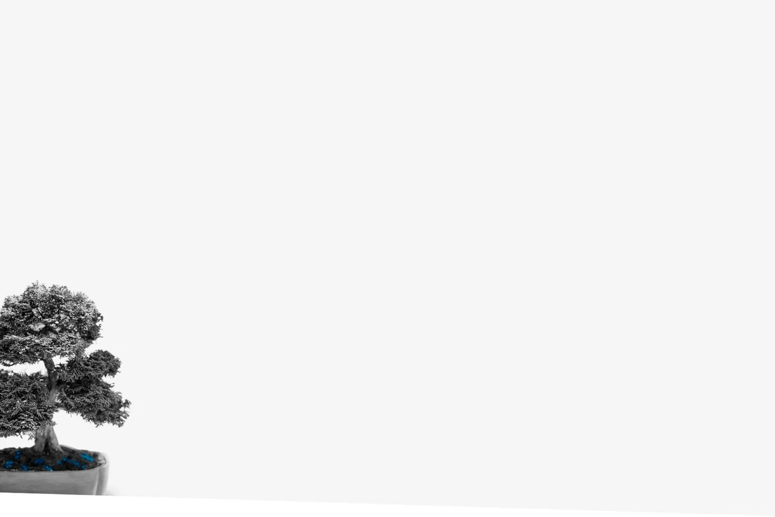 Vehículos de inversión