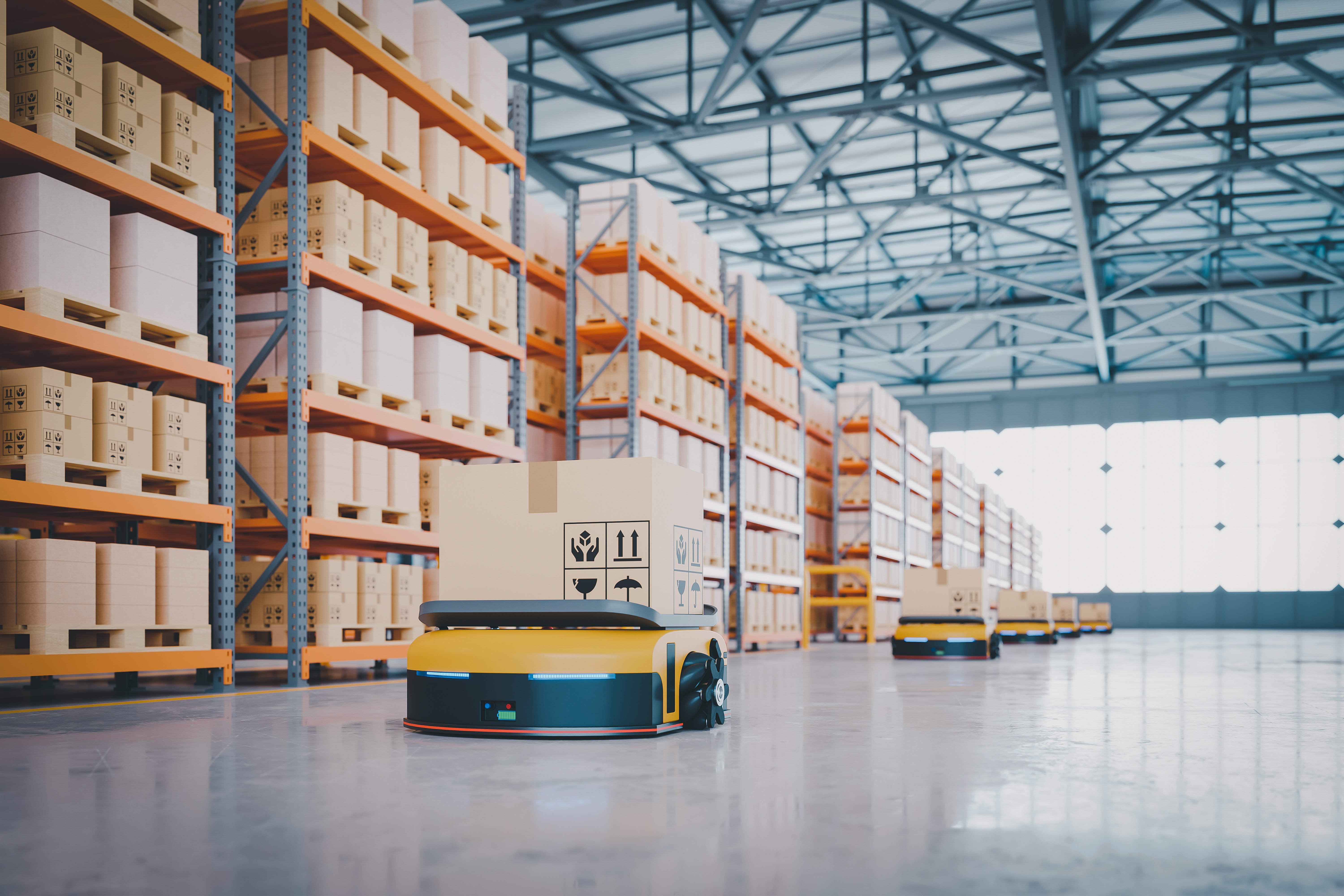 Technological Innovation in the Retail Sector